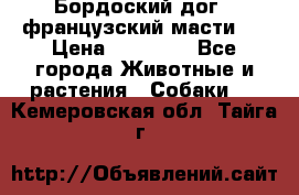 Бордоский дог ( французский масти)  › Цена ­ 50 000 - Все города Животные и растения » Собаки   . Кемеровская обл.,Тайга г.